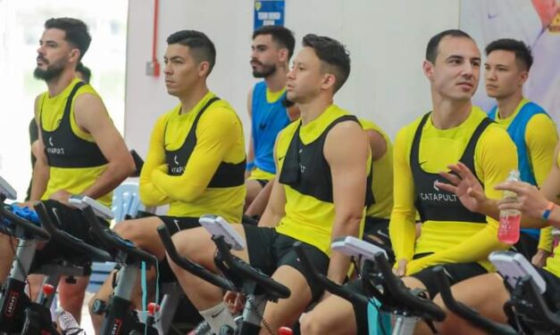 Getaran vital aura tonggak Harimau Malaya