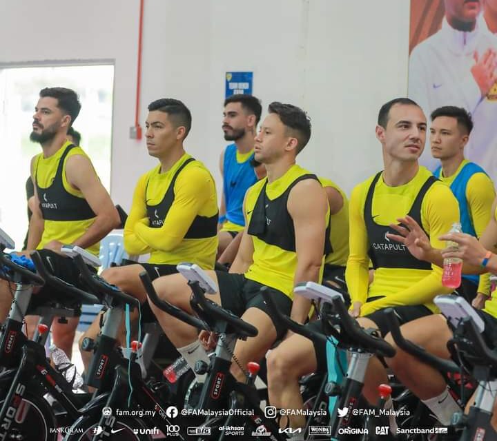 Getaran vital aura tonggak Harimau Malaya