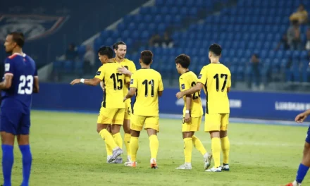 FAM perlu bangkit perkemas pengurusan Harimau Malaya